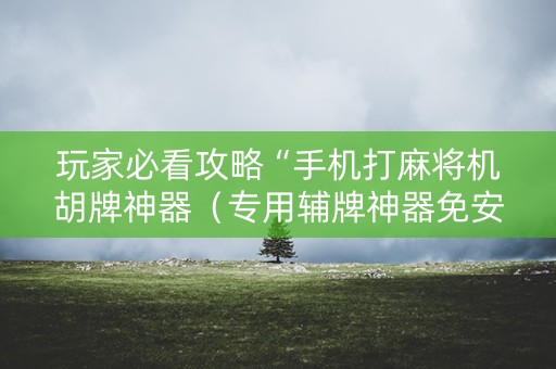 玩家必看攻略“手机打麻将机胡牌神器（专用辅牌神器免安装）