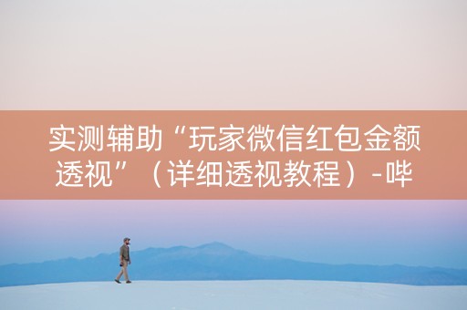 实测辅助“玩家微信红包金额透视”（详细透视教程）-哔哩哔哩