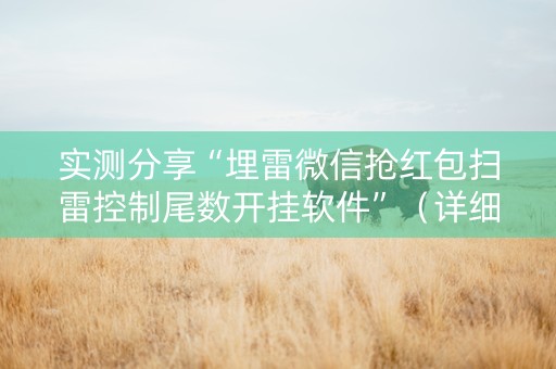 实测分享“埋雷微信抢红包扫雷控制尾数开挂软件”（详细透视教程）-哔哩哔哩