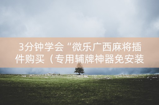 3分钟学会“微乐广西麻将插件购买（专用辅牌神器免安装）