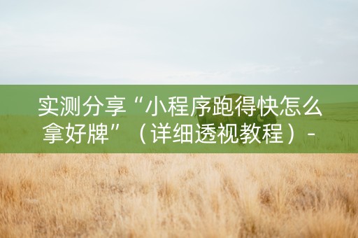 实测分享“小程序跑得快怎么拿好牌”（详细透视教程）-哔哩哔哩