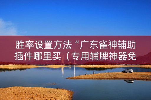 胜率设置方法“广东雀神辅助插件哪里买（专用辅牌神器免安装）