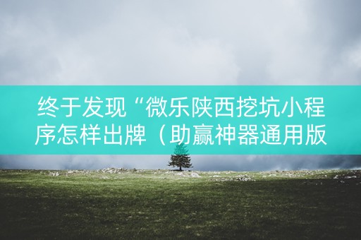 终于发现“微乐陕西挖坑小程序怎样出牌（助赢神器通用版）