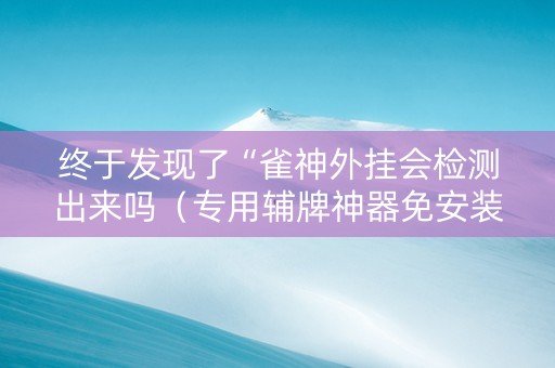 终于发现了“雀神外挂会检测出来吗（专用辅牌神器免安装）