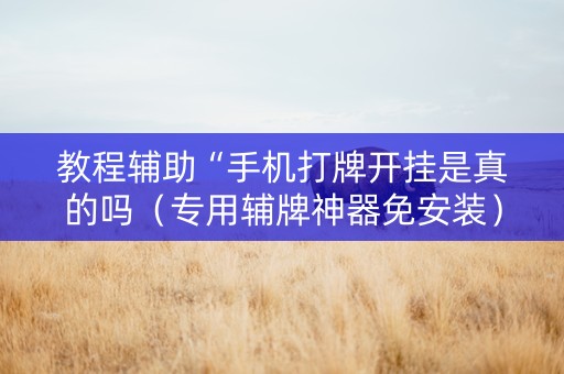 教程辅助“手机打牌开挂是真的吗（专用辅牌神器免安装）