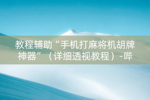 教程辅助“手机打麻将机胡牌神器”（详细透视教程）-哔哩哔哩