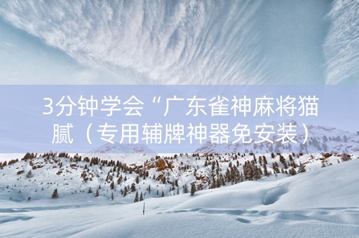 3分钟学会“广东雀神麻将猫腻（专用辅牌神器免安装）