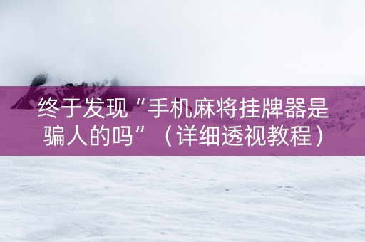 终于发现“手机麻将挂牌器是骗人的吗”（详细透视教程）-哔哩哔哩