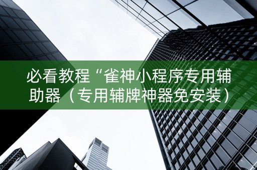 必看教程“雀神小程序专用辅助器（专用辅牌神器免安装）