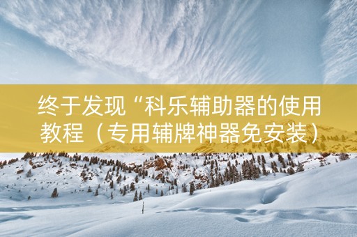 终于发现“科乐辅助器的使用教程（专用辅牌神器免安装）