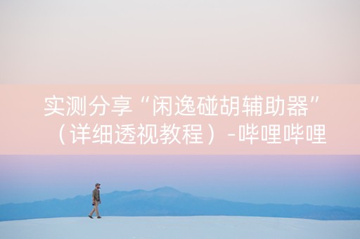 实测分享“闲逸碰胡辅助器”（详细透视教程）-哔哩哔哩