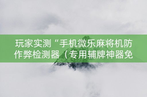 玩家实测“手机微乐麻将机防作弊检测器（专用辅牌神器免安装）