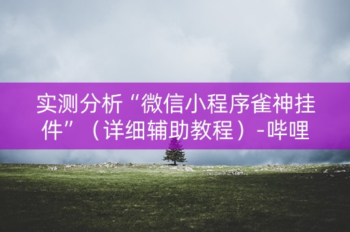 实测分析“微信小程序雀神挂件”（详细辅助教程）-哔哩哔哩