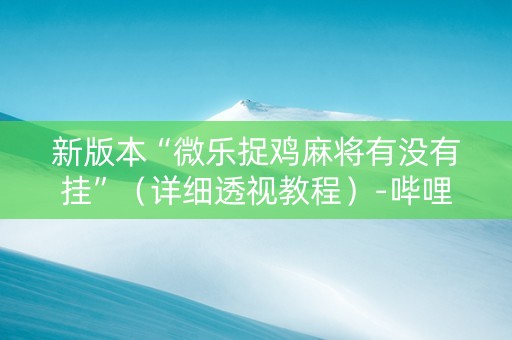 新版本“微乐捉鸡麻将有没有挂”（详细透视教程）-哔哩哔哩