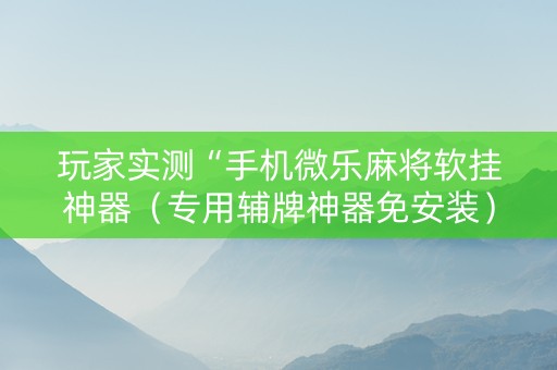 玩家实测“手机微乐麻将软挂神器（专用辅牌神器免安装）