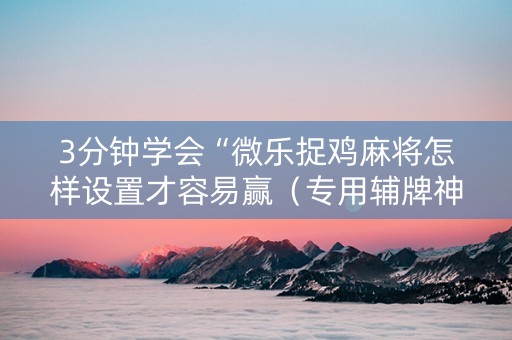 3分钟学会“微乐捉鸡麻将怎样设置才容易赢（专用辅牌神器免安装）