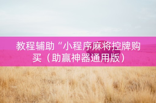 教程辅助“小程序麻将控牌购买（助赢神器通用版）