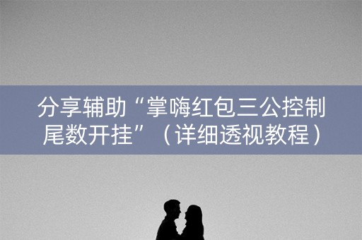 分享辅助“掌嗨红包三公控制尾数开挂”（详细透视教程）-哔哩哔哩