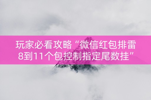 玩家必看攻略“微信红包排雷8到11个包控制指定尾数挂”（详细透视教程）-哔哩哔哩