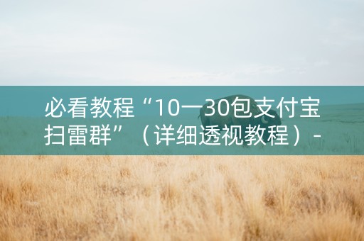 必看教程“10一30包支付宝扫雷群”（详细透视教程）-哔哩哔哩
