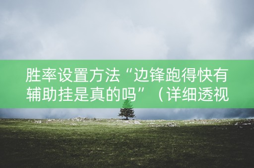 胜率设置方法“边锋跑得快有辅助挂是真的吗”（详细透视教程）-哔哩哔哩