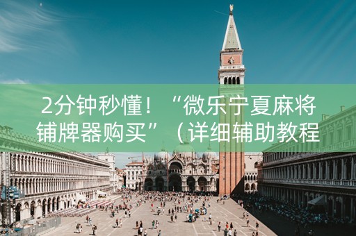 2分钟秒懂！“微乐宁夏麻将铺牌器购买”（详细辅助教程）-哔哩哔哩