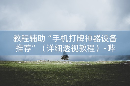 教程辅助“手机打牌神器设备推荐”（详细透视教程）-哔哩哔哩