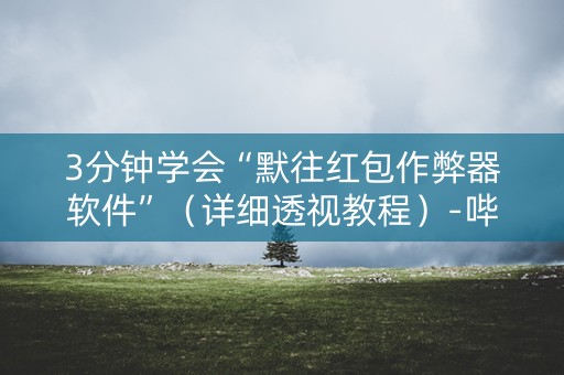 3分钟学会“默往红包作弊器软件”（详细透视教程）-哔哩哔哩