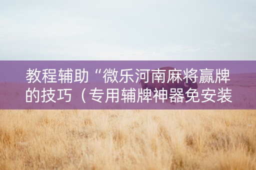 教程辅助“微乐河南麻将赢牌的技巧（专用辅牌神器免安装）