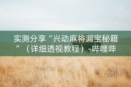 实测分享“兴动麻将漏宝秘籍”（详细透视教程）-哔哩哔哩