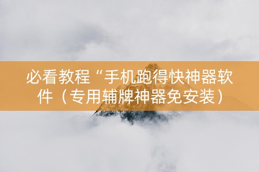 必看教程“手机跑得快神器软件（专用辅牌神器免安装）