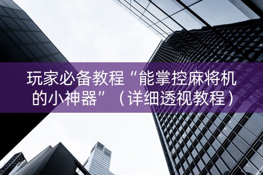 玩家必备教程“能掌控麻将机的小神器”（详细透视教程）-哔哩哔哩
