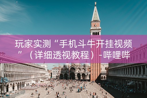玩家实测“手机斗牛开挂视频”（详细透视教程）-哔哩哔哩
