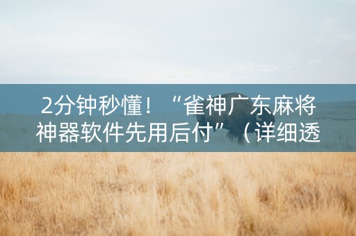 2分钟秒懂！“雀神广东麻将神器软件先用后付”（详细透视教程）-哔哩哔哩