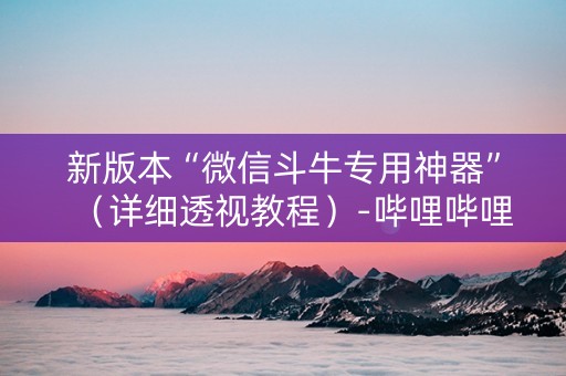 新版本“微信斗牛专用神器”（详细透视教程）-哔哩哔哩