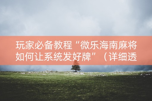 玩家必备教程“微乐海南麻将如何让系统发好牌”（详细透视教程）-哔哩哔哩
