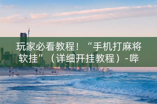 玩家必看教程！“手机打麻将软挂”（详细开挂教程）-哔哩哔哩