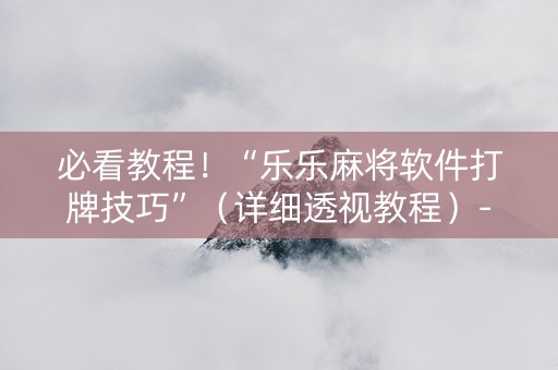 必看教程！“乐乐麻将软件打牌技巧”（详细透视教程）-哔哩哔哩