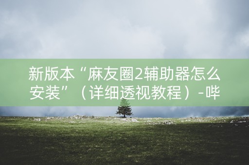 新版本“麻友圈2辅助器怎么安装”（详细透视教程）-哔哩哔哩