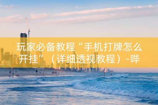 玩家必备教程“手机打牌怎么开挂”（详细透视教程）-哔哩哔哩