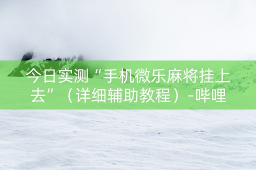 今日实测“手机微乐麻将挂上去”（详细辅助教程）-哔哩哔哩