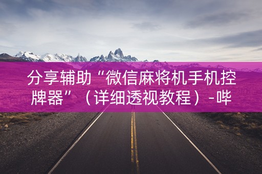 分享辅助“微信麻将机手机控牌器”（详细透视教程）-哔哩哔哩