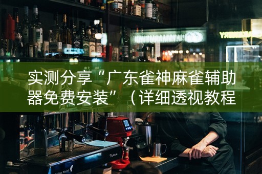 实测分享“广东雀神麻雀辅助器免费安装”（详细透视教程）-哔哩哔哩