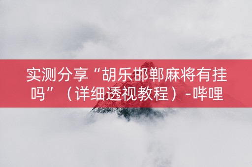 实测分享“胡乐邯郸麻将有挂吗”（详细透视教程）-哔哩哔哩
