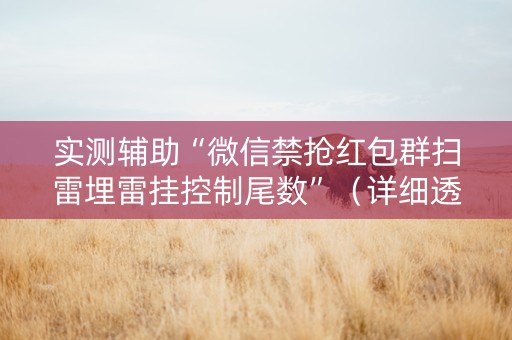 实测辅助“微信禁抢红包群扫雷埋雷挂控制尾数”（详细透视教程）-哔哩哔哩
