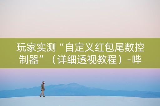 玩家实测“自定义红包尾数控制器”（详细透视教程）-哔哩哔哩