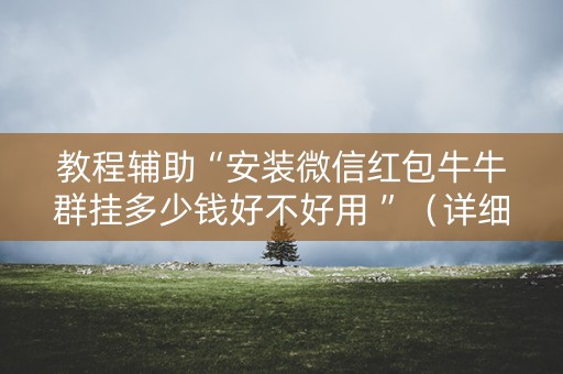 教程辅助“安装微信红包牛牛群挂多少钱好不好用 ”（详细透视教程）-哔哩哔哩