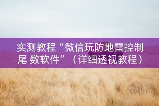 实测教程“微信玩防地雷控制尾 数软件”（详细透视教程）-哔哩哔哩