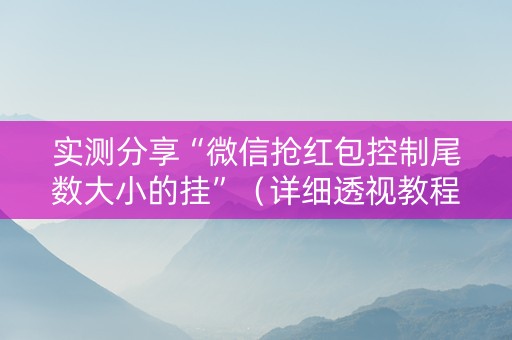 实测分享“微信抢红包控制尾数大小的挂”（详细透视教程）-哔哩哔哩