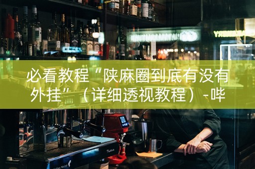 必看教程“陕麻圈到底有没有外挂”（详细透视教程）-哔哩哔哩